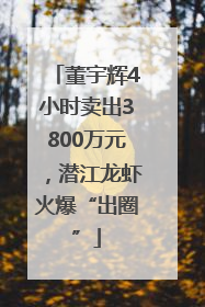 董宇辉4小时卖出3800万元，潜江龙虾火爆“出圈”