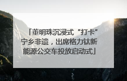 董明珠沉浸式“打卡”宁乡非遗，出席格力钛新能源公交车投放启动式