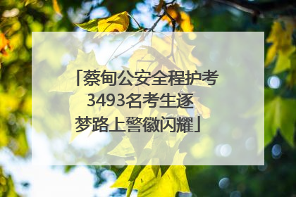 蔡甸公安全程护考 3493名考生逐梦路上警徽闪耀