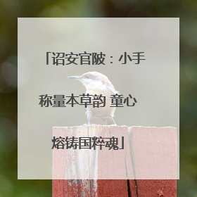 诏安官陂：小手称量本草韵 童心熔铸国粹魂
