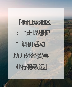 衡阳蒸湘区：“走找想促”调研活动 助力外经贸事业行稳致远