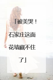被美哭！石家庄这面花墙藏不住了