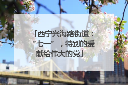 西宁兴海路街道：“七一”，特别的爱献给伟大的党