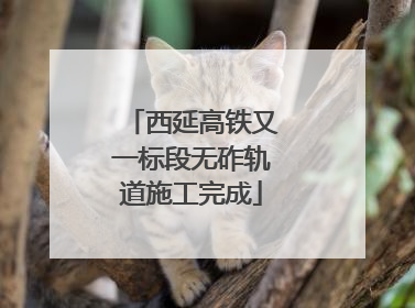 西延高铁又一标段无砟轨道施工完成