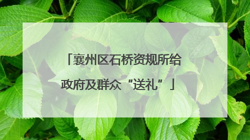 襄州区石桥资规所给政府及群众“送礼”