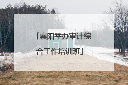 襄阳举办审计综合工作培训班