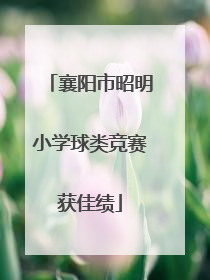 襄阳市昭明小学球类竞赛获佳绩