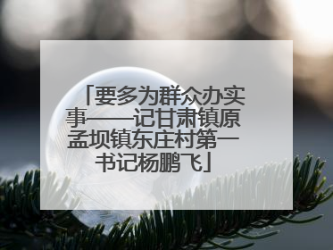 要多为群众办实事——记甘肃镇原孟坝镇东庄村第一书记杨鹏飞