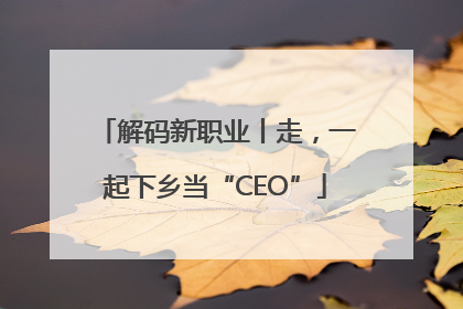 解码新职业丨走，一起下乡当“CEO”