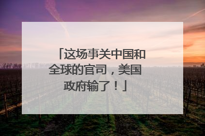 这场事关中国和全球的官司，美国政府输了！