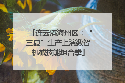 连云港海州区：“三夏”生产上演数智机械技能组合拳