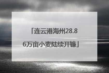连云港海州28.86万亩小麦陆续开镰