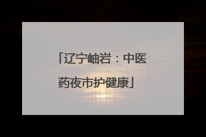 辽宁岫岩：中医药夜市护健康
