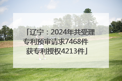 辽宁：2024年共受理专利预审请求7468件 获专利授权4213件