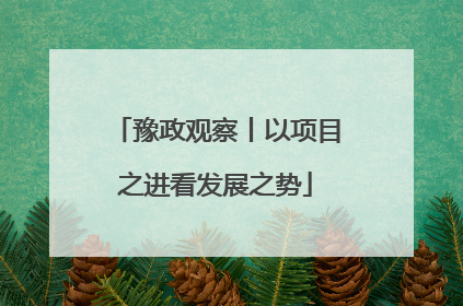 豫政观察丨以项目之进看发展之势