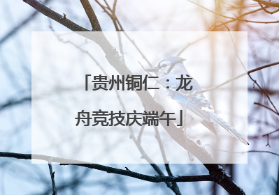 贵州铜仁：龙舟竞技庆端午
