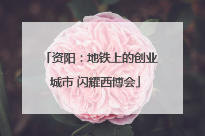 资阳：地铁上的创业城市 闪耀西博会