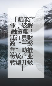 赋能产业，破解融资难！浦江县财政“三聚焦”助推传统产业转型升级