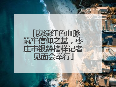 赓续红色血脉 筑牢信仰之基，枣庄市银龄榜样记者见面会举行