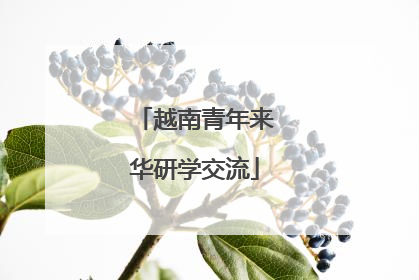 越南青年来华研学交流