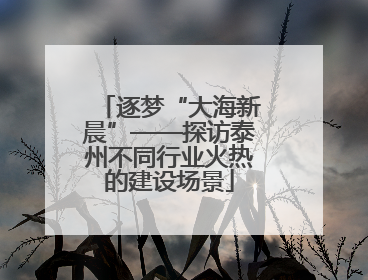 逐梦“大海新晨”——探访泰州不同行业火热的建设场景