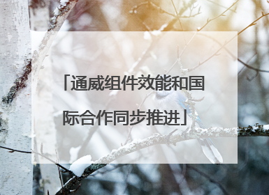 通威组件效能和国际合作同步推进