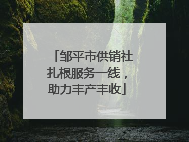 邹平市供销社扎根服务一线，助力丰产丰收