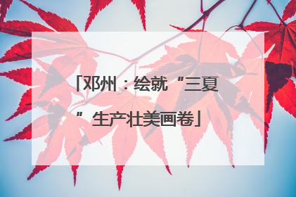 邓州：绘就“三夏”生产壮美画卷
