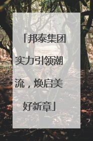 邦泰集团实力引领潮流，焕启美好新章