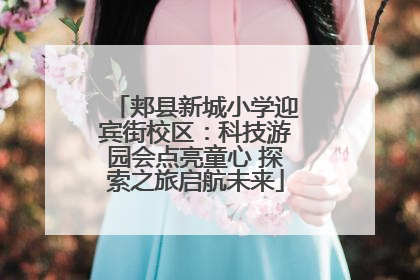 郏县新城小学迎宾街校区：科技游园会点亮童心 探索之旅启航未来