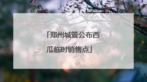 郑州城管公布西瓜临时销售点