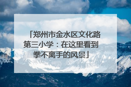 郑州市金水区文化路第三小学：在这里看到拳不离手的风景