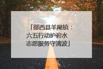 郧西县羊尾镇：六五行动护碧水 志愿服务守清波