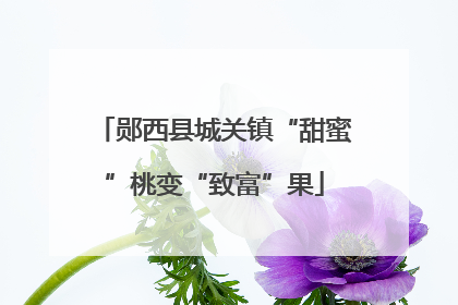 郧西县城关镇“甜蜜”桃变“致富”果