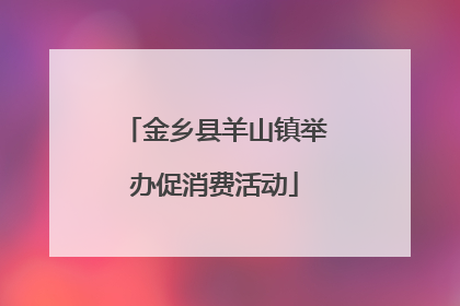 金乡县羊山镇举办促消费活动