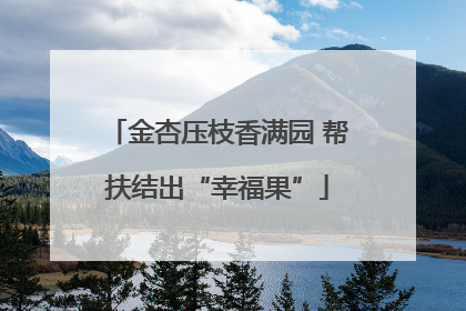 金杏压枝香满园 帮扶结出“幸福果”