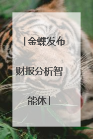 金蝶发布财报分析智能体