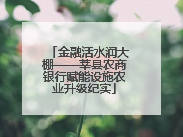 金融活水润大棚——莘县农商银行赋能设施农业升级纪实