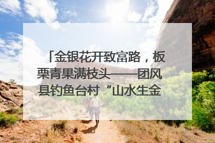 金银花开致富路，板栗青果满枝头——团风县钓鱼台村“山水生金”谱写共富新篇章
