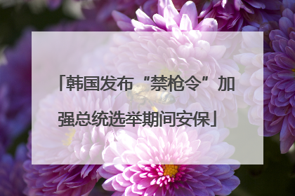 韩国发布“禁枪令”加强总统选举期间安保