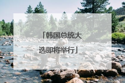 韩国总统大选即将举行