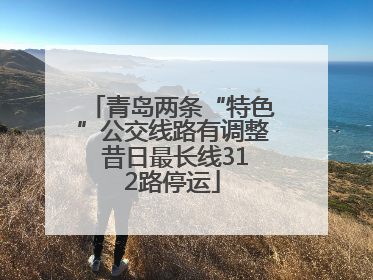 青岛两条“特色”公交线路有调整 昔日最长线312路停运