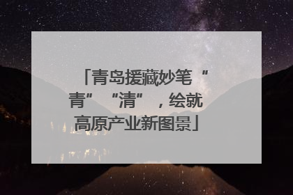 青岛援藏妙笔“青”“清”，绘就高原产业新图景