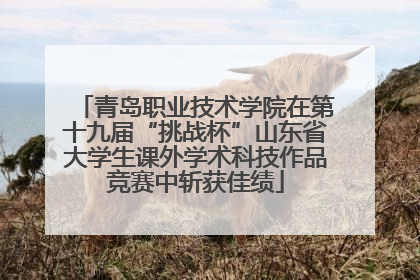 青岛职业技术学院在第十九届“挑战杯”山东省大学生课外学术科技作品竞赛中斩获佳绩