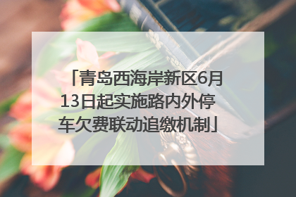 青岛西海岸新区6月13日起实施路内外停车欠费联动追缴机制
