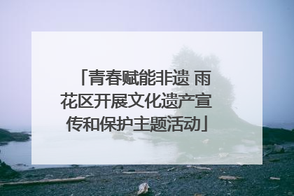 青春赋能非遗 雨花区开展文化遗产宣传和保护主题活动