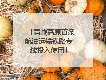 青藏高原首条航油运输铁路专线投入使用