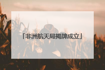非洲航天局揭牌成立