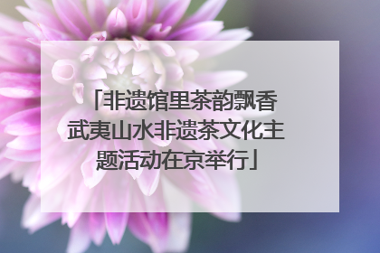 非遗馆里茶韵飘香 武夷山水非遗茶文化主题活动在京举行