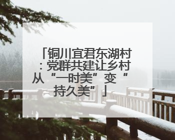 铜川宜君东湖村：党群共建让乡村从“一时美”变“持久美”